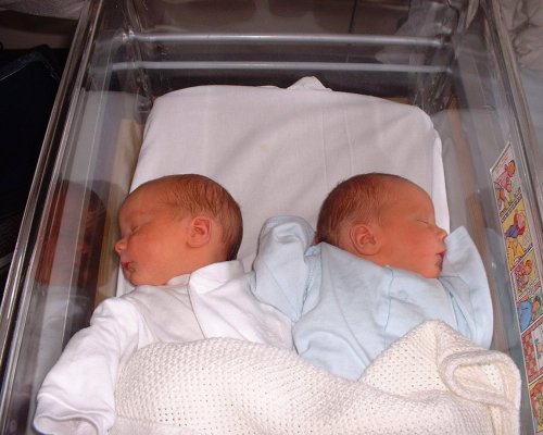 В США близнецы родились в разные годы
