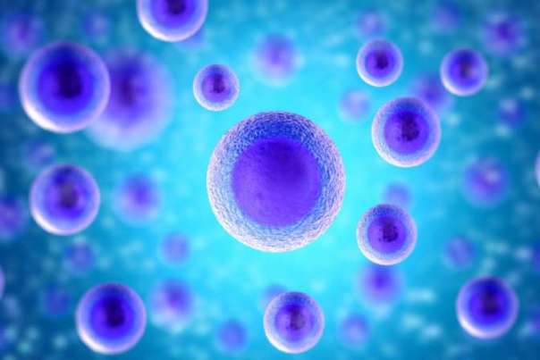 Ученые: После смерти клетки продолжают жить