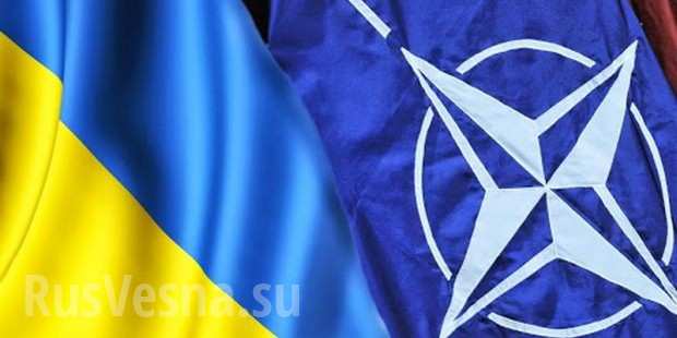 В НАТО назвали условие для присоединения Украинского государства к альянсу