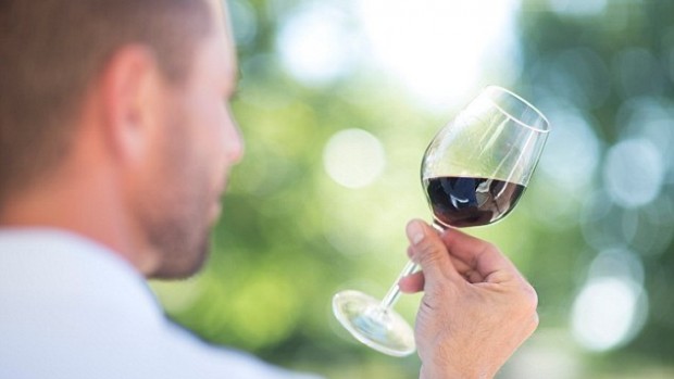 Содержащееся в красном вине вещество сдерживает старение человеческого мозга