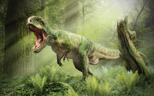 Ошибка в теории эволюции: классификация динозавров может быть пересмотрена