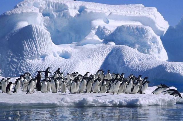Угроза таяния ледников: в Антарктиде установлен температурный рекорд
