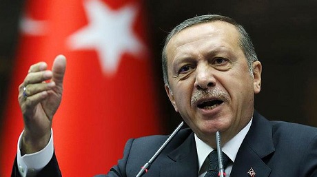 Вице-премьер Турции: Анкара слышит поступь фашизма в Германии