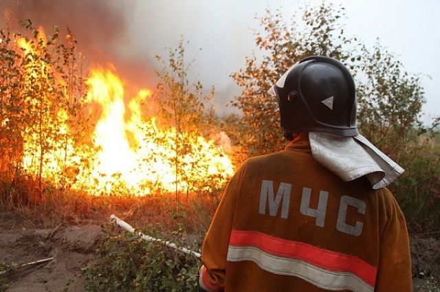 В четырех районах Челябинской области введен особый противопожарный режим
