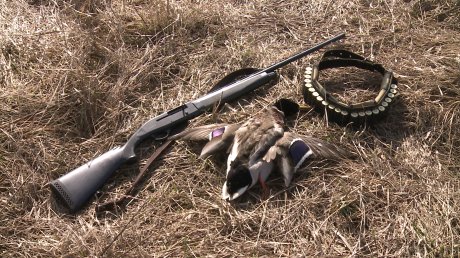 В Тамбовской области выросло количество правонарушений в области охоты