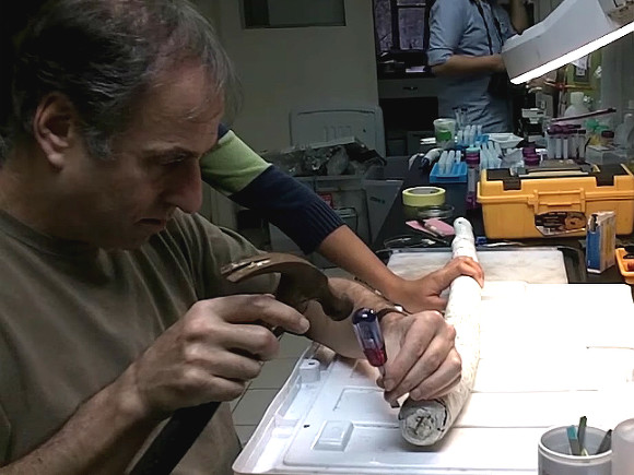 Биологи отыскали гигантского моллюска-червя в юго-восточной Азии