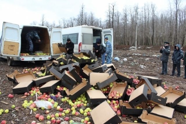 В Перми 2,2 тонны яблок раздавили бульдозером