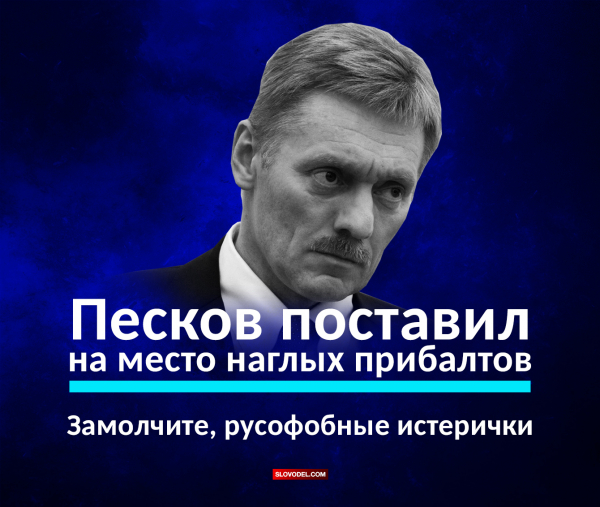 В процессе учений РФ и республики Белоруссии вероятны провокации — агентура Литвы