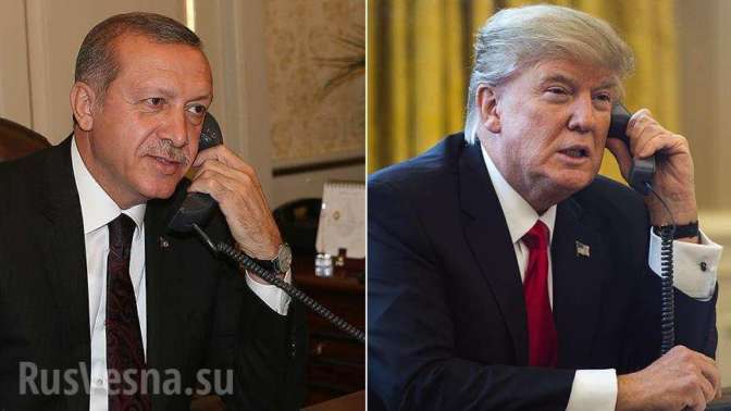 Трамп поздравил Эрдогана с победой на референдуме в Турции | Русская весна