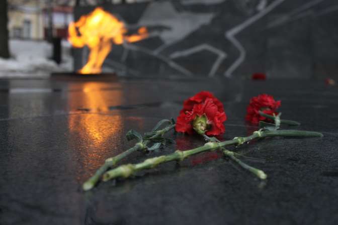В Омска высадят «Тополь Победы», выживший в Сталинградской борьбе