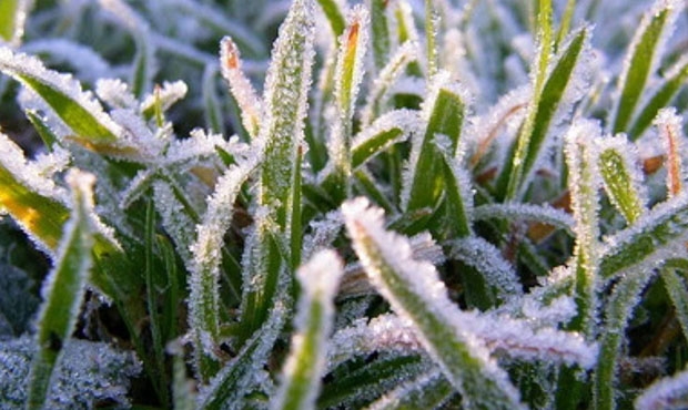Температура опустится до нуля на Южном Урале