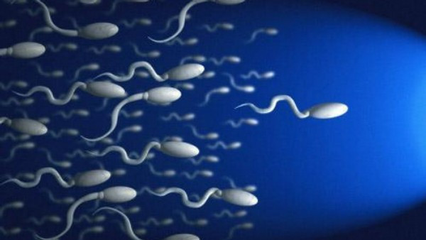 Качество спермы мужчин зависит от времени их засыпания — Ученые