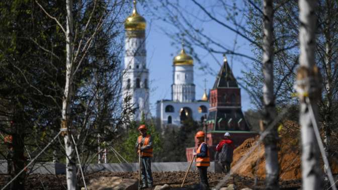 Власти пояснили отсутствие листьев на высаженных на Тверской липах