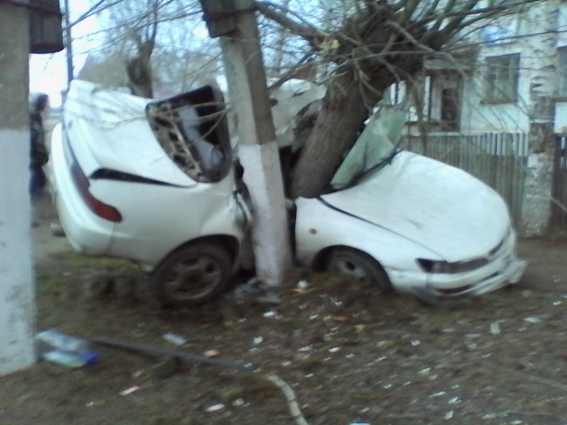 В Лесосибирске автомобиль врезался в дерево, есть жертвы