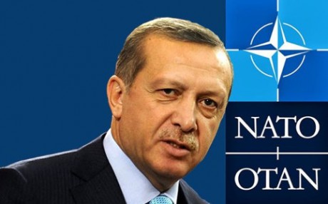 Германия против саммита НАТО в Стамбуле