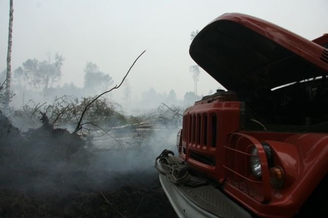В Иркутской области зарегистрировано три лесных пожара на площади 581 га