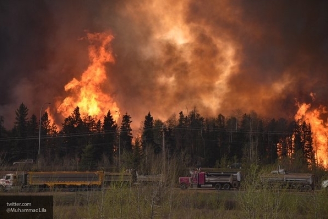 14 мая в Челябинской области зарегистрировано возгорание лесных территорий