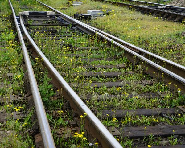 В Сочи пассажирский поезд сбил отдыхающего из Кемеровской области