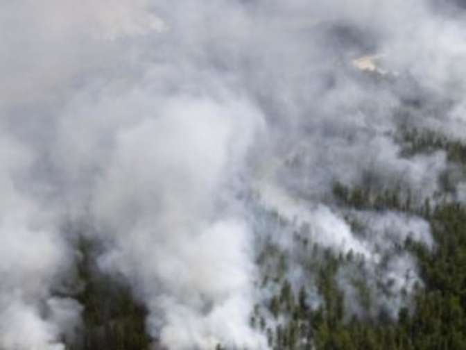 В Челябинской области потушили лесной пожар