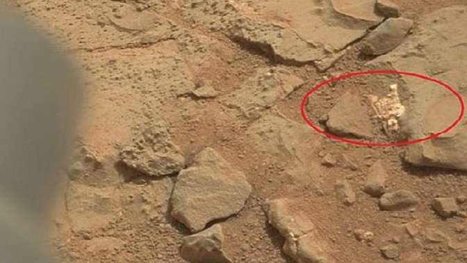 На Марсе отыскали останки инопланетного животного