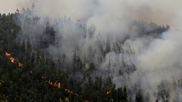 Лесные пожары приблизились к хорватскому городу Сплит