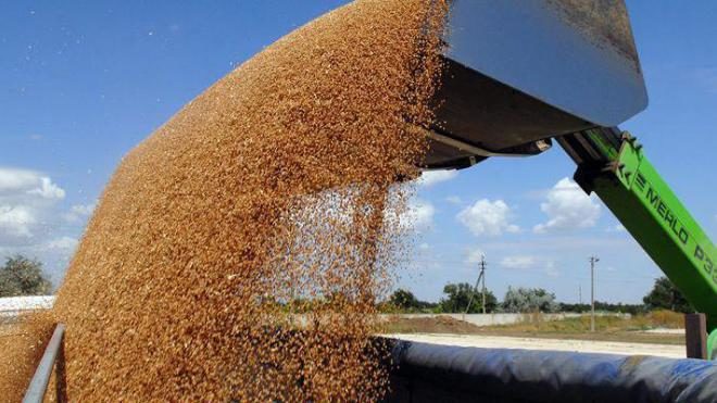 Украинские аграрии уже экспортировали 1,2 млн. тонн зерновых