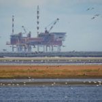 Нефть заканчивает неделю ростом цен