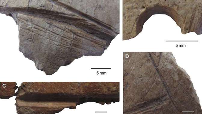 В Турции найдены черепа времен неолита, украшенные резьбой