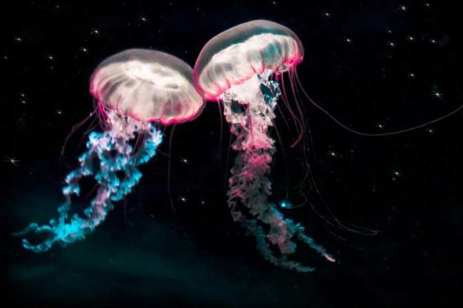 Ученые показали миру огромную космическую «медузу»