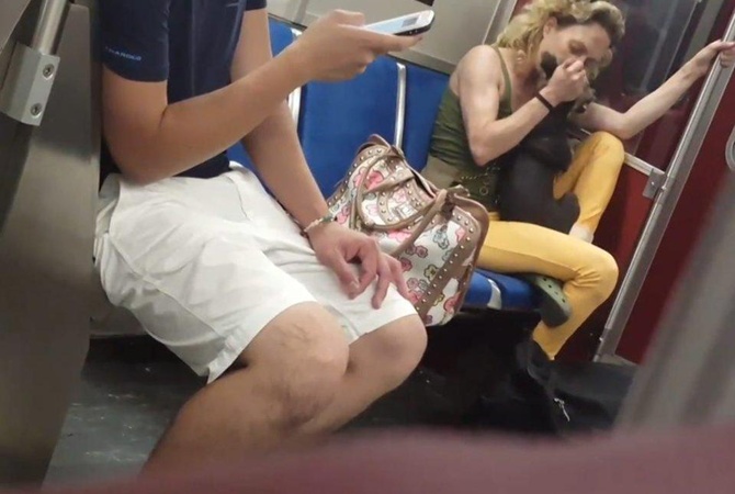 Женщина искусала собаку в метро Торонто