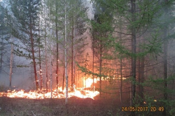 Ямал продолжает полыхать. Площади лесных пожаров преодолели отметку в 50 тыс. гектаров