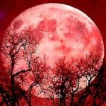 Кровавая Луна: сегодня жители России могут увидеть лунное затмение