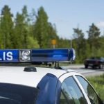 МИД Украины нашел в Финляндии 37 украинцев, пропавших при сборе ягод