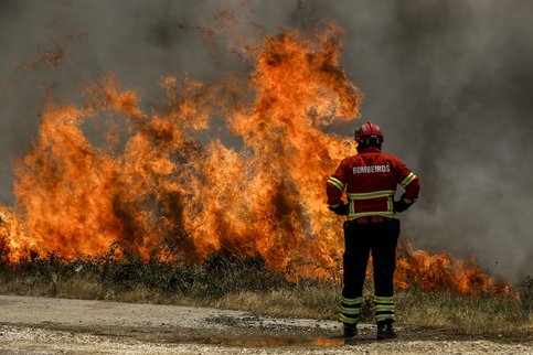 На Сицилии пожарные сами поджигали лес ради сверхурочной заработной платы