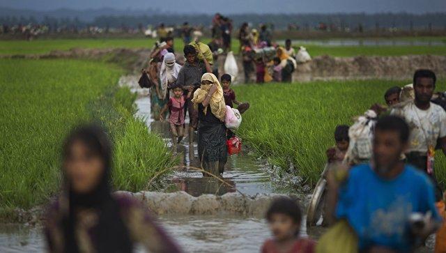 Число покинувших Мьянму и сбежавших в Бангладеш рохинджа достигло 400 тыс. человек