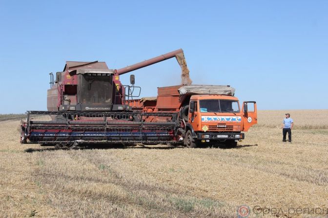 Валовый сбор зерна в Татарстане составил не менее более почти 4,5 млн тонн