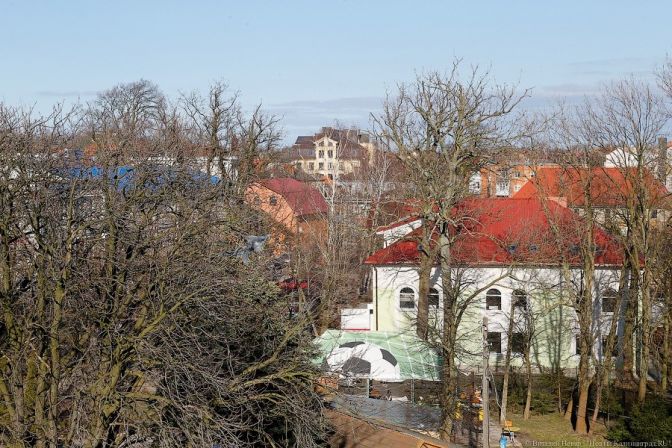 В Зеленоградске возникла улица имени героя Российской Федерации Александра Прохоренко