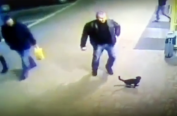 В глобальной сети размещена видеозапись, как в Полоцке мужчина безжалостно пнул кота