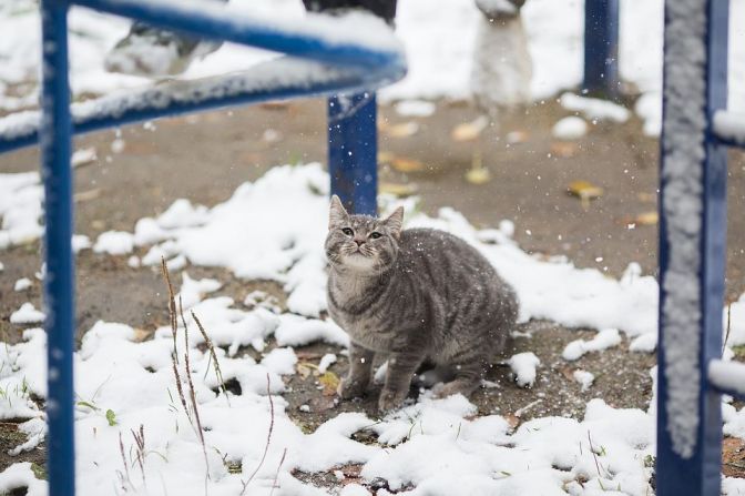 На следующей неделе синоптики обещают 1-ый снег в Воронеже