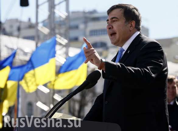 Саакашвили сказал о подготовке документов для его экстрадиции