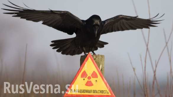 В европейских странах зафиксирован всплеск радиоактивности в воздухе