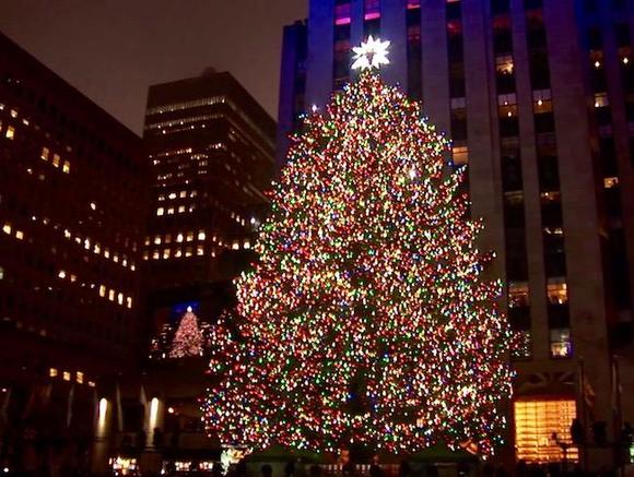 В Нью-Йорке установили главную рождественскую ель города