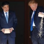Трамп повеселил мир своеобразной кормежкой карпов в Японии