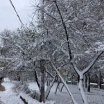 В столице объявлено экстренное предупреждение из-за снегопада