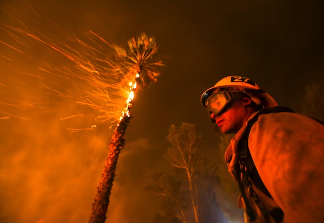 В Лос-Анджелесе ввели режим ЧП из-за лесных пожаров
