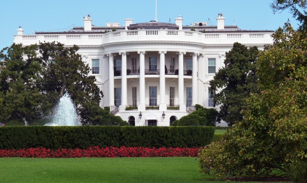 Меланья Трамп распорядилась спилить самое старое дерево на лужайке Белого дома