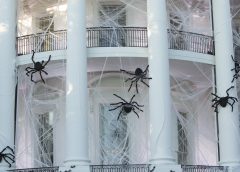 W1056h594fill 240x172