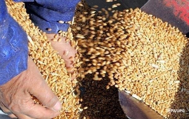 Украина продала за рубеж 3,5 млн тонн масличных