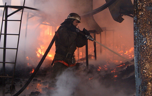 В Новгородской области произошел сверепый пожар на птицефабрике