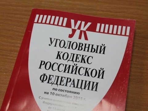 Пропавшую под Саратовом девочку отыскали мертвой